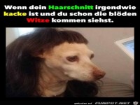 Bl�der Haarschnitt