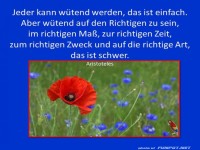 Jeder kann wuetend werden