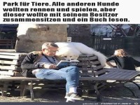 Park f�r Tiere.....