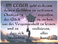 im Leben geht es darum
