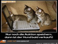 Nur noch die Auktion speichern