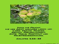 Galater 5 22-23