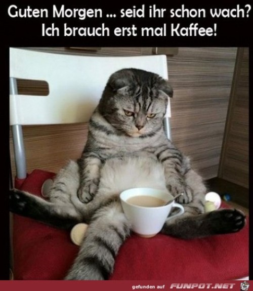 Erst-mal-einen-Kaffee.jpg auf www.funpot.net