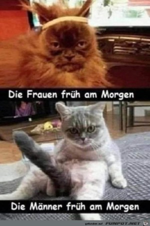 Am-Morgen.jpg auf www.funpot.net
