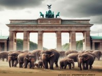 Da sind sie