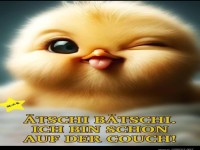 tsch Btsch
