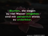 Undankbare Blumen