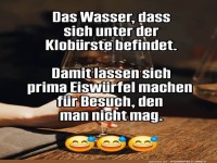 Humorvolles Eisw�rfel-Rezept