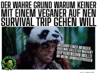 Der wahre Grund