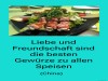weiter