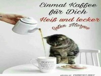 Kaffee fr Kater, serviert mit Pfoten!