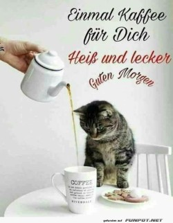 Kaffee-für-Kater,-serviert-mit-Pfoten!.jpg auf www.funpot.net