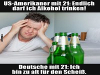 Zwei Kulturen, ein Kater