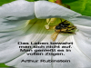 weiter