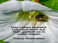 das leben bewahrt man sich nicht auf