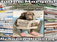 Der lesende Hund im Zeitschriftenparadies