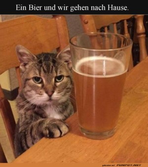 Katzens-Stammtisch-Abenteuer.jpg auf www.funpot.net