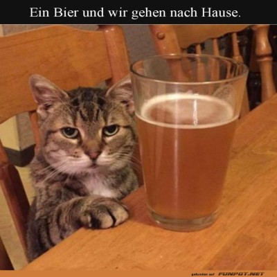 Katzens-Stammtisch-Abenteuer.jpg von Rennschnecke