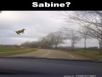 Achtung Sabine von links