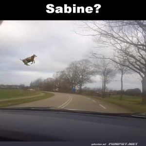 Achtung-Sabine-von-links.jpg von Tarik1967