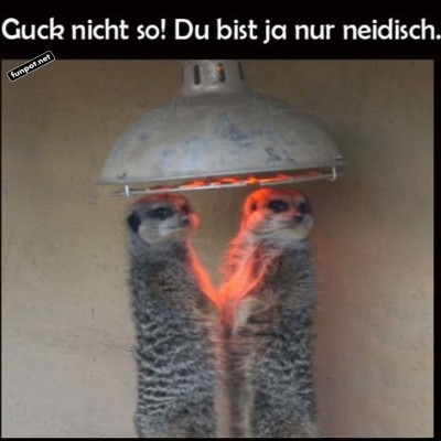 Die-Erdmännchen-Sauna.jpg von Annelie-68