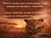 L�wenweisheit bei Sonnenuntergang