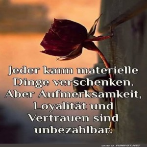Eine-Rose-voller-Weisheit-und-Humor.jpg von Kurt1978