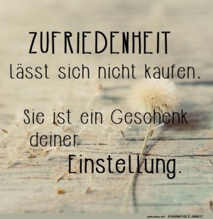 Zufriedenes-Schn�ppchen?-Fehlanzeige!.jpg auf www.funpot.net