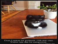Laptop ist gesperrt