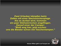 Zwei Urlauber k�mpfen beim Zelten mit einer Stechm�ckenplage