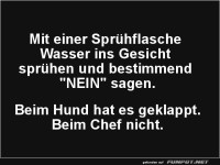 Spr�hen vs. Chef: Ein Fehlschlag