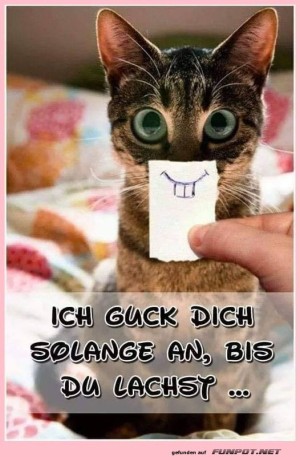Lach-endlich.jpg auf www.funpot.net