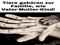 Pfoten-Power in der Familienbande!