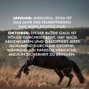 Wenn-Vors�tze-auf-Realit�t-treffen.jpg von Klemens