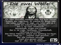 die zwei Woelfe