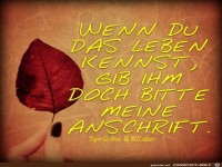 Wenn du das Leben kennst