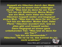 Hoppelt ein H�schen durch den Wald