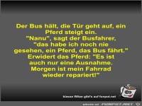Der Bus h�lt, die T�r geht auf, ein Pferd steigt ein