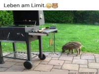 Leben am Limit