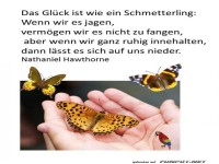 Das Glueck ist wie ein Schmetterling