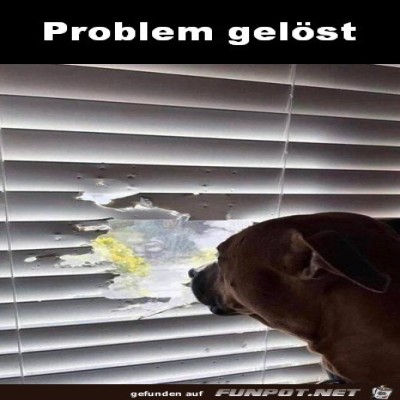 Problem-gelöst.jpg von Mia