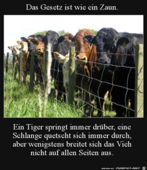 Das-Gesetz-ist-wie-ein-Zaun.jpg auf www.funpot.net