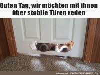 Keine stabile T�re
