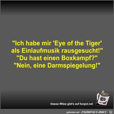 Ich-habe-mir-'Eye-of-the-Tiger'-als-Einlaufmusik....jpg von Fossy