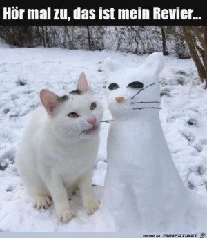 Das-ist-mein-Revier.jpg auf www.funpot.net