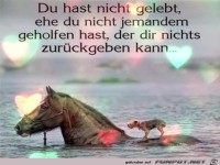 Du hast nicht gelebt