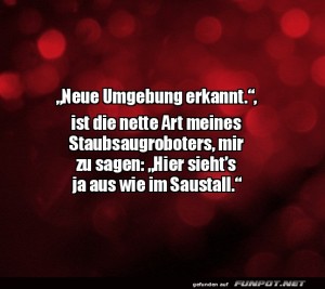 Neue-Umgebung-erkannt.jpg auf www.funpot.net