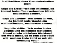 Drei Bazillen im Gesprch