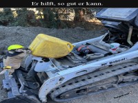 Hund hilft bei der Arbeit mit Bagger