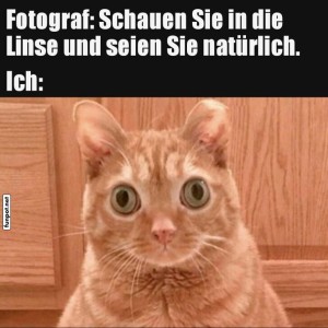 fun-Bild: Katzenfoto-Meme: Natürlichkeit im Fokus